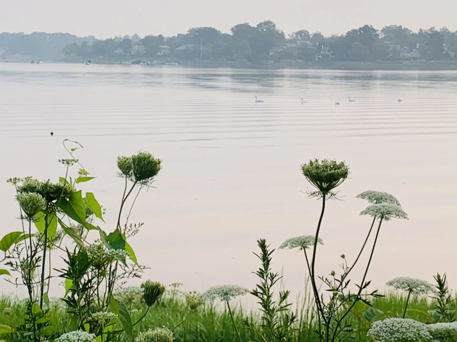 IMG_8539.jpg?type=w966