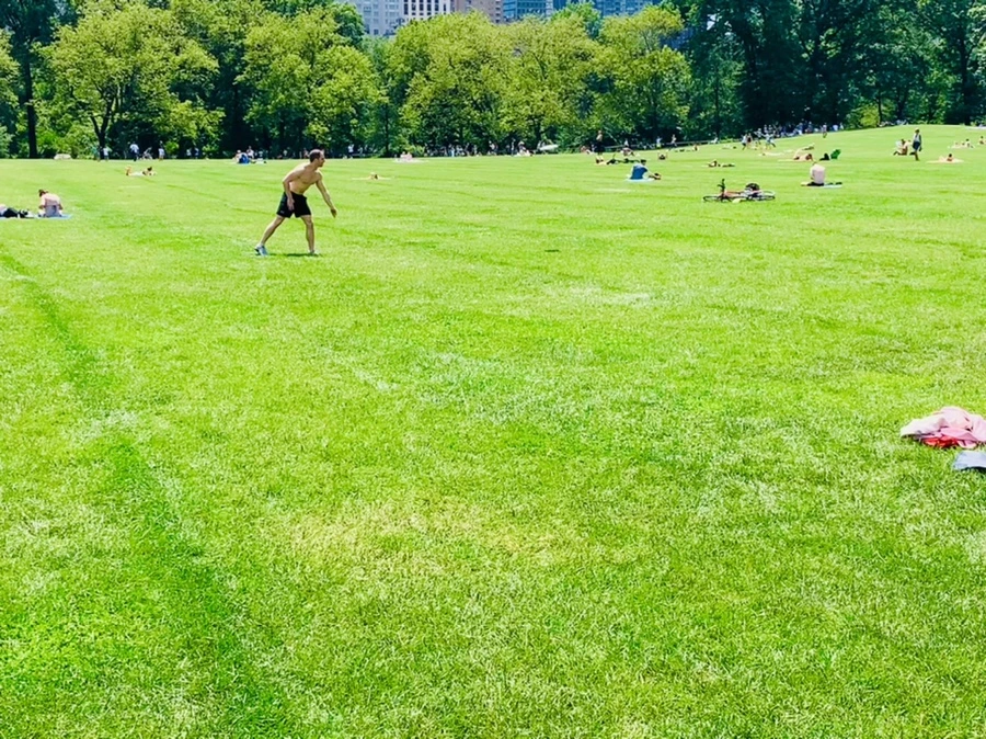 IMG_4936.jpg?type=w966