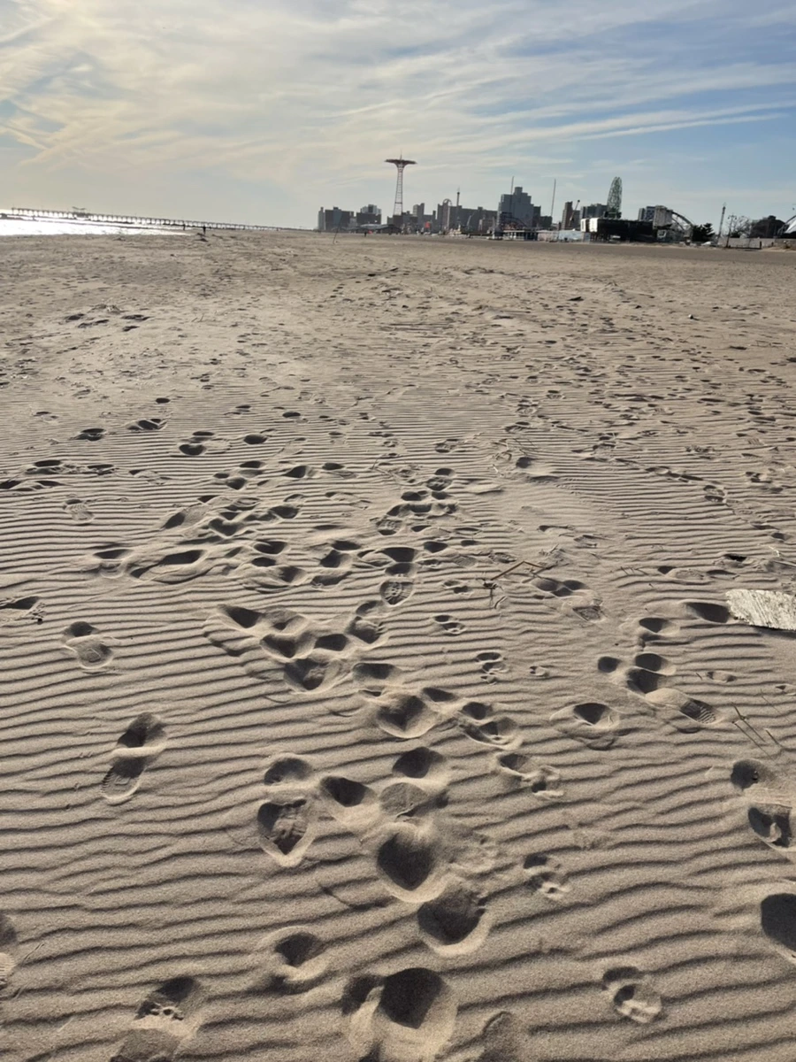 IMG_5091.jpg?type=w966