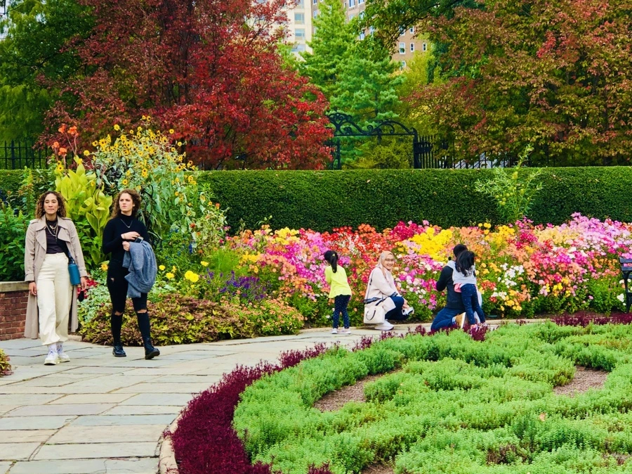 IMG_2464.jpg?type=w966