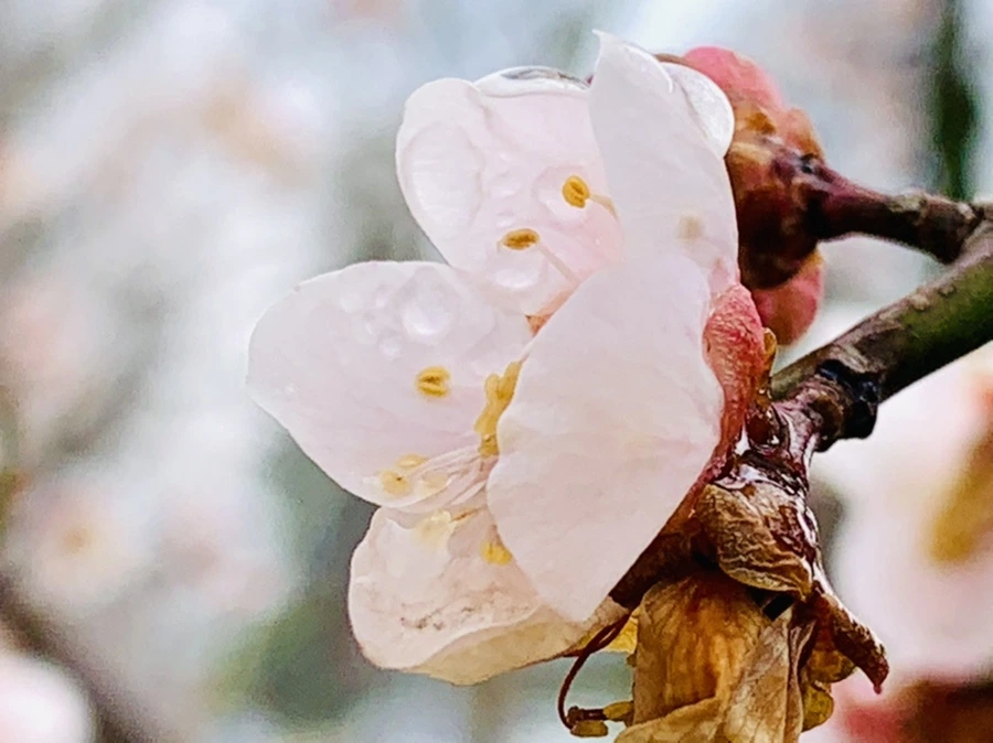 IMG_3964.jpg?type=w966