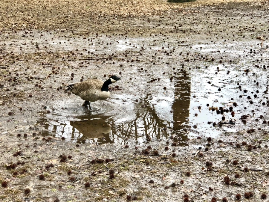 IMG_6547.jpg?type=w966