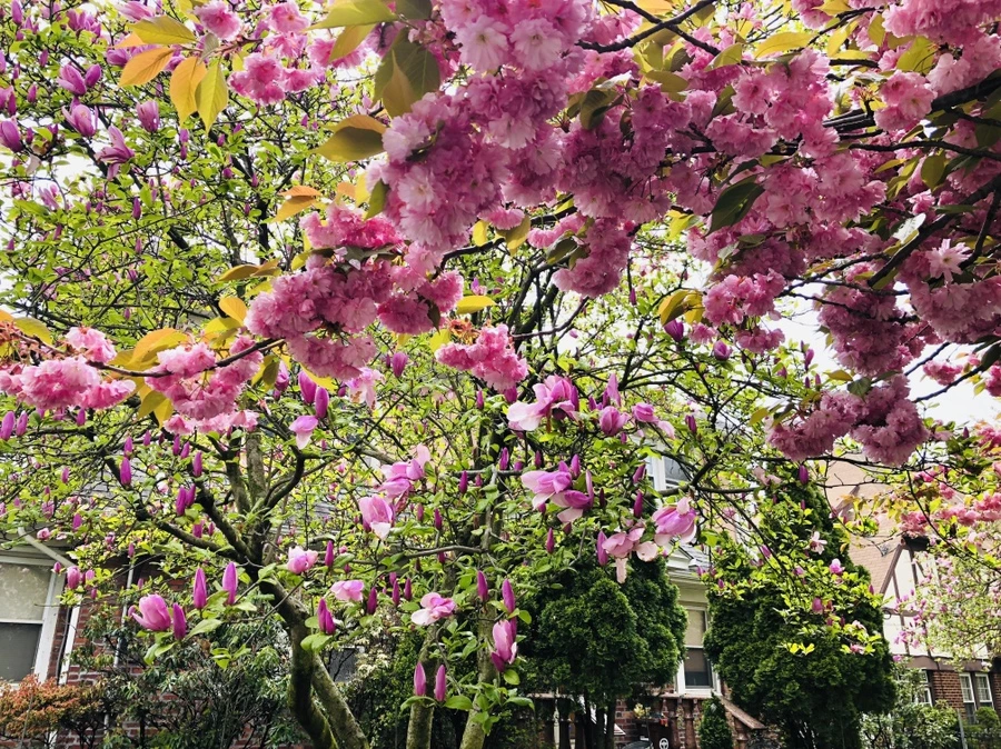 IMG_3944.jpg?type=w966