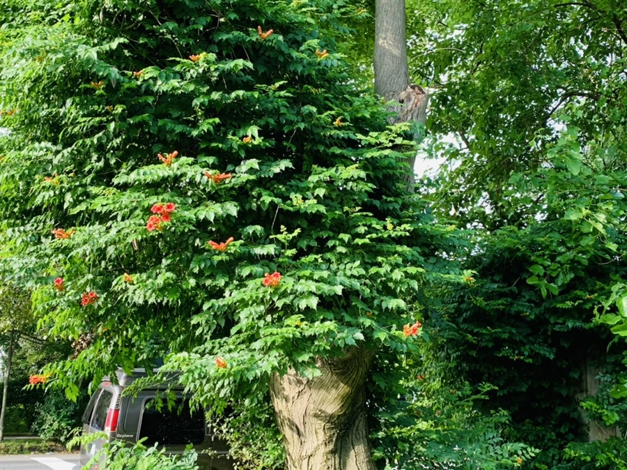 IMG_5710.jpg?type=w966