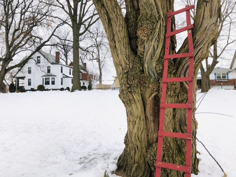 oMg9HoBq6vtS_A_f5WRg41tSQ0g