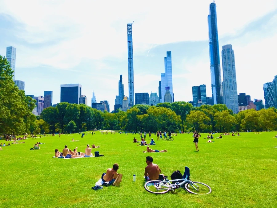 IMG_9482.jpg?type=w966