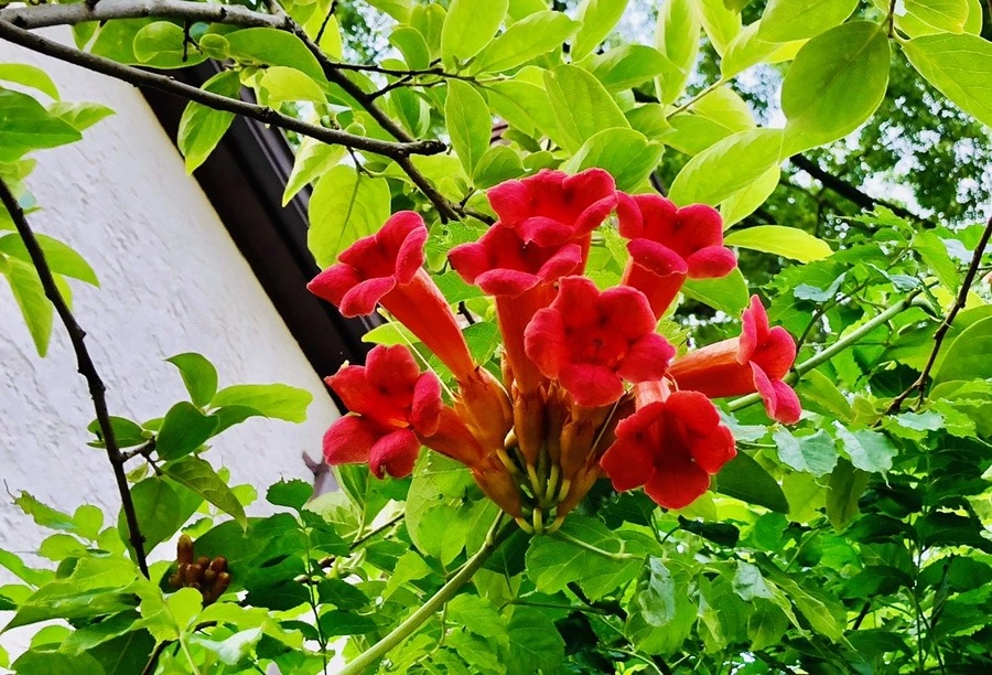 1Pi6b-udRjVZlA2XgFJXf2MSwKI