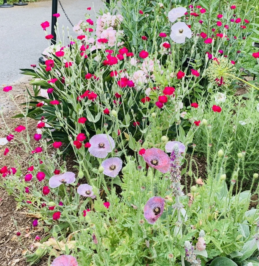 IMG_2914.jpg?type=w966