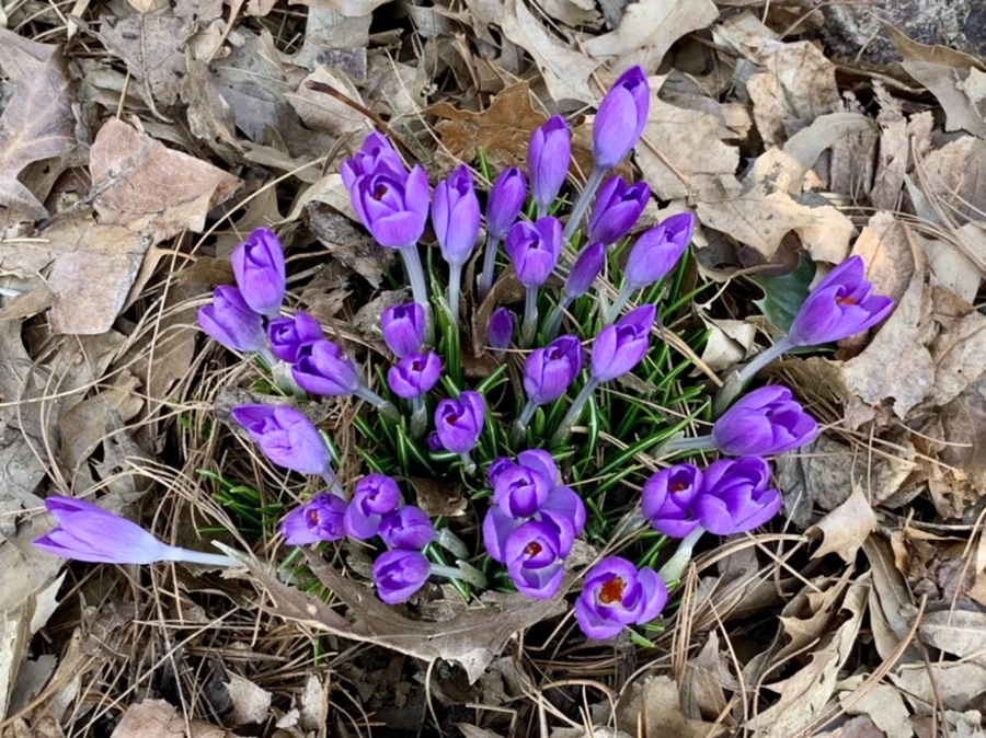 IMG_9693.jpg?type=w966