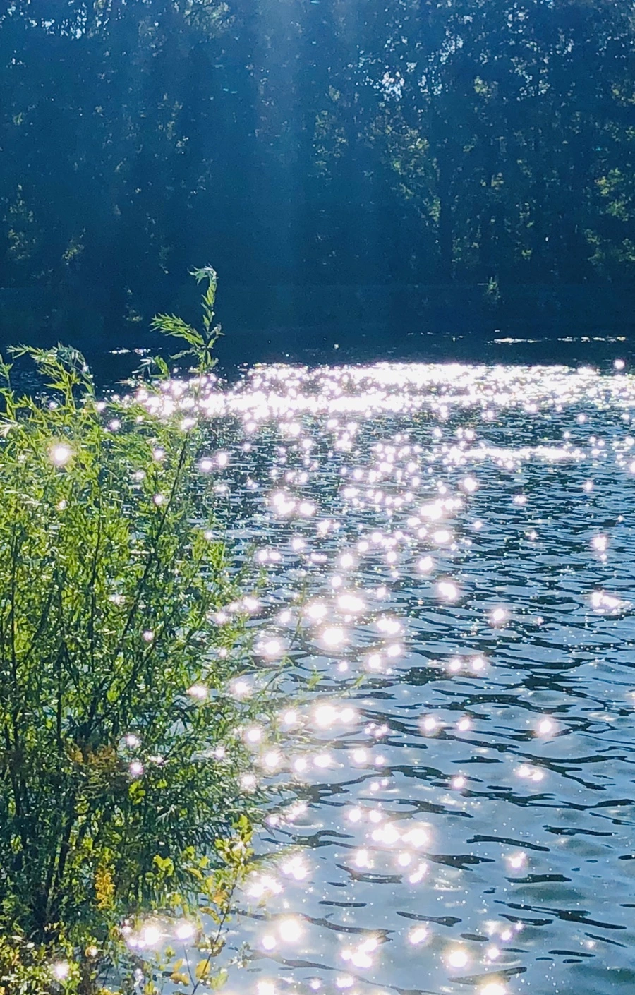 IMG_1704.jpg?type=w966