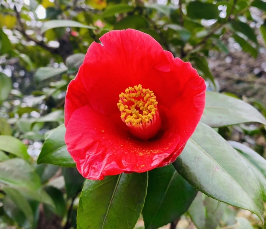 IMG_6439.jpg?type=w966