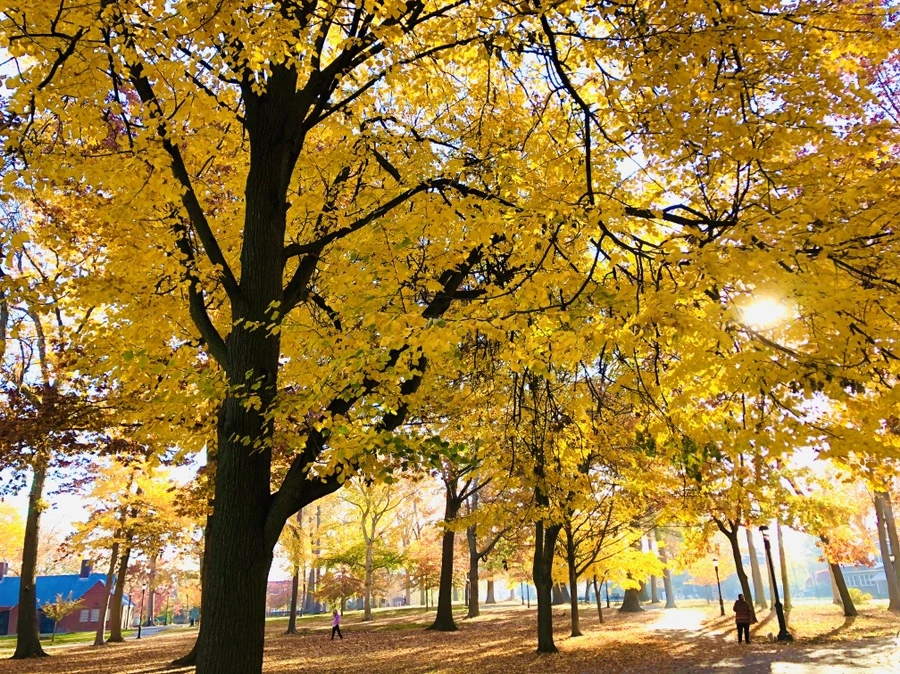 IMG_4083.jpg?type=w966