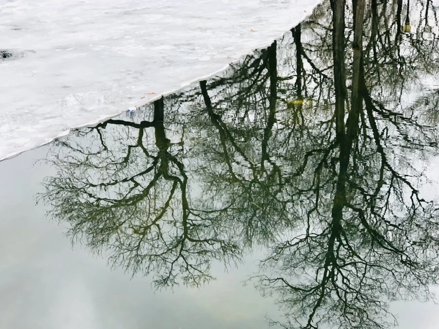 IMG_6497.jpg?type=w966