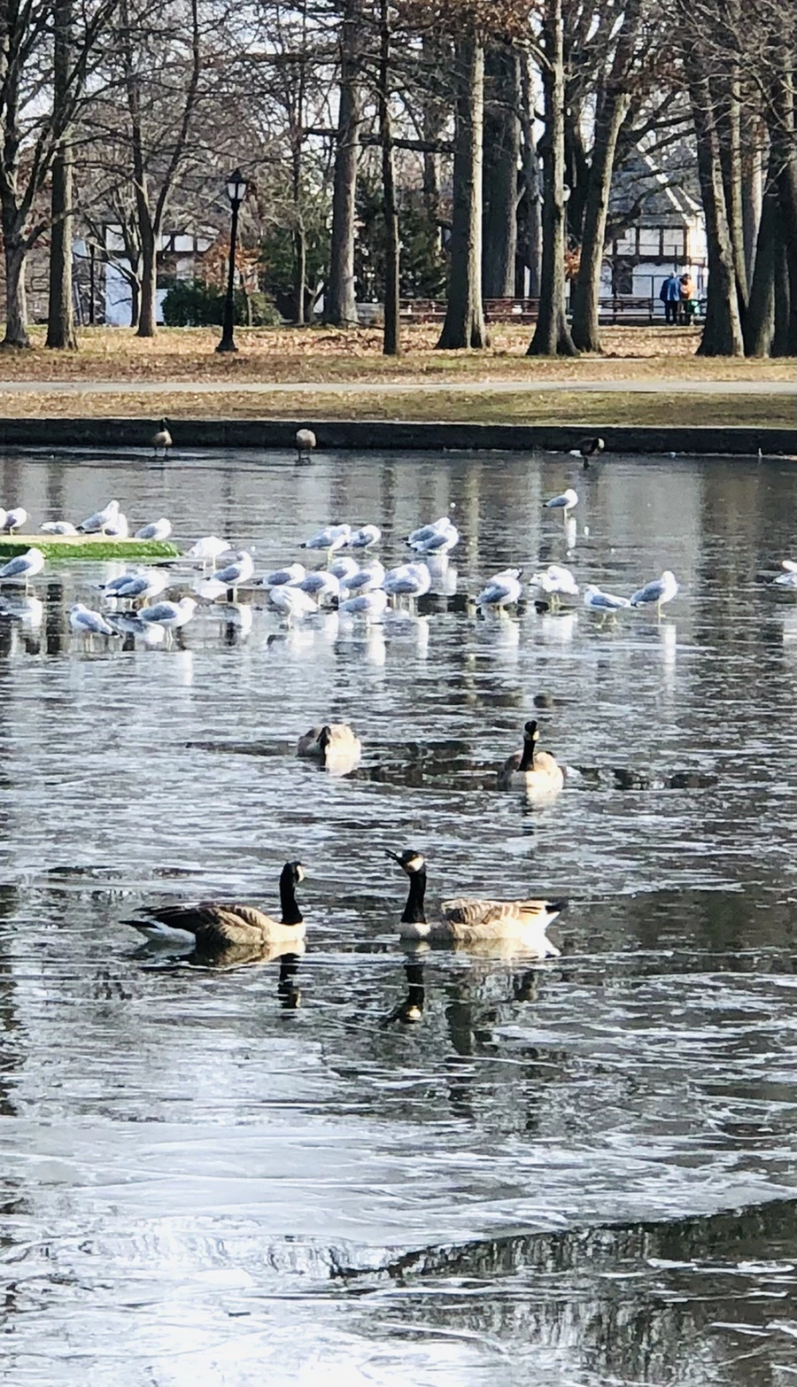 IMG_8468.jpg?type=w966