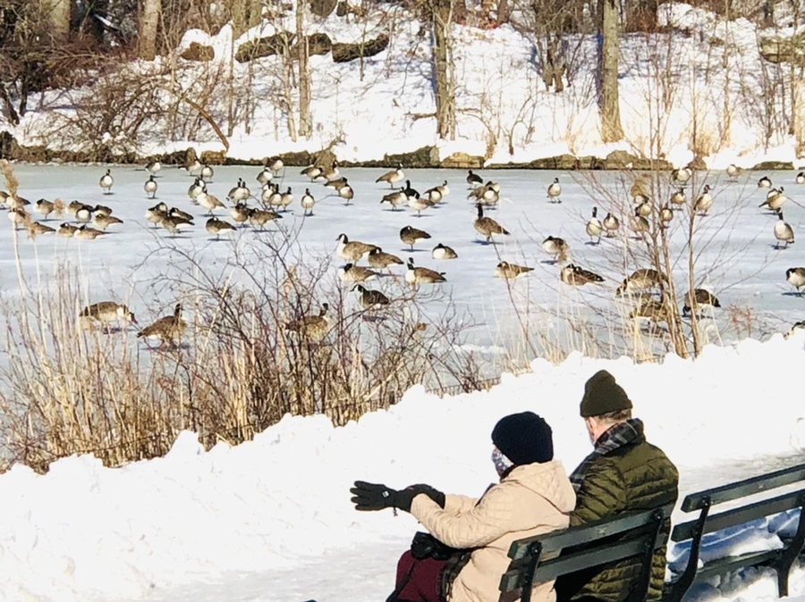 IMG_9835.jpg?type=w966