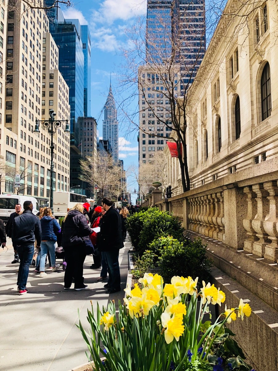 IMG_4575.jpg?type=w966