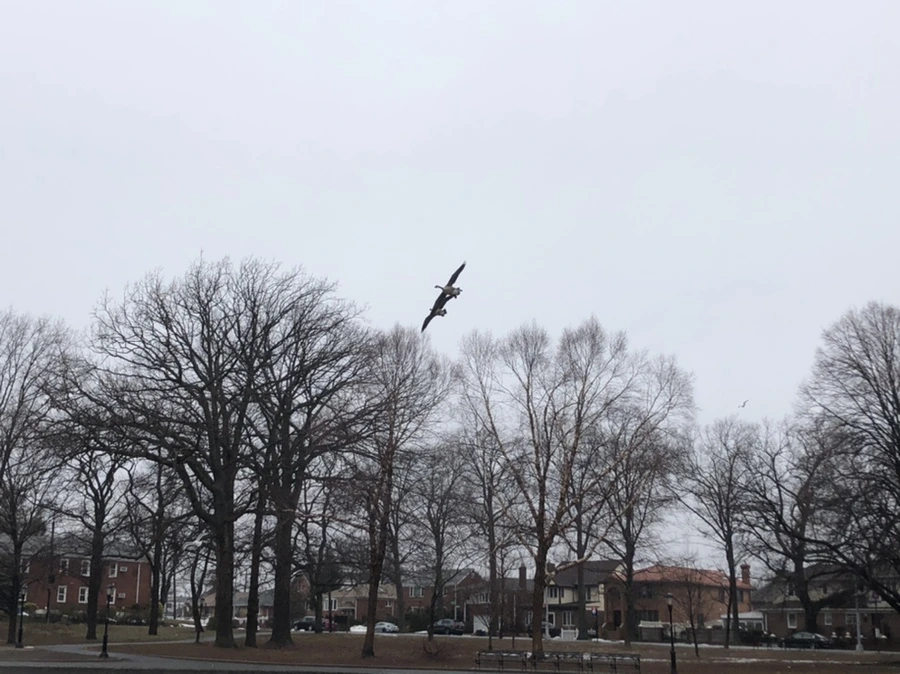 IMG_5632.jpg?type=w966