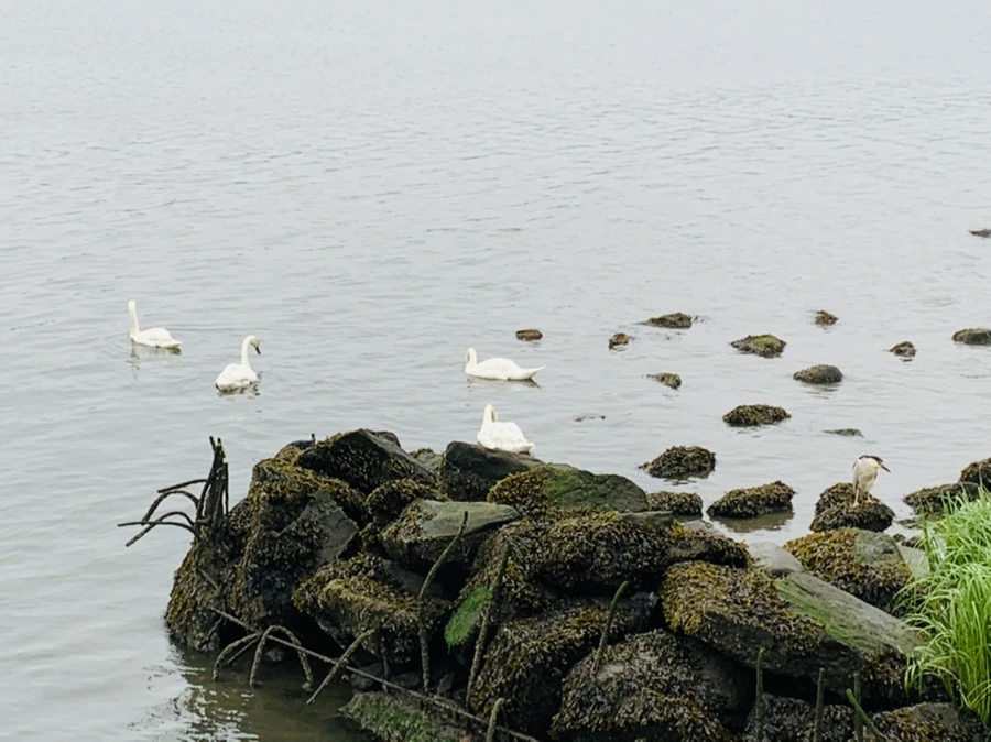 IMG_5170.jpg?type=w966