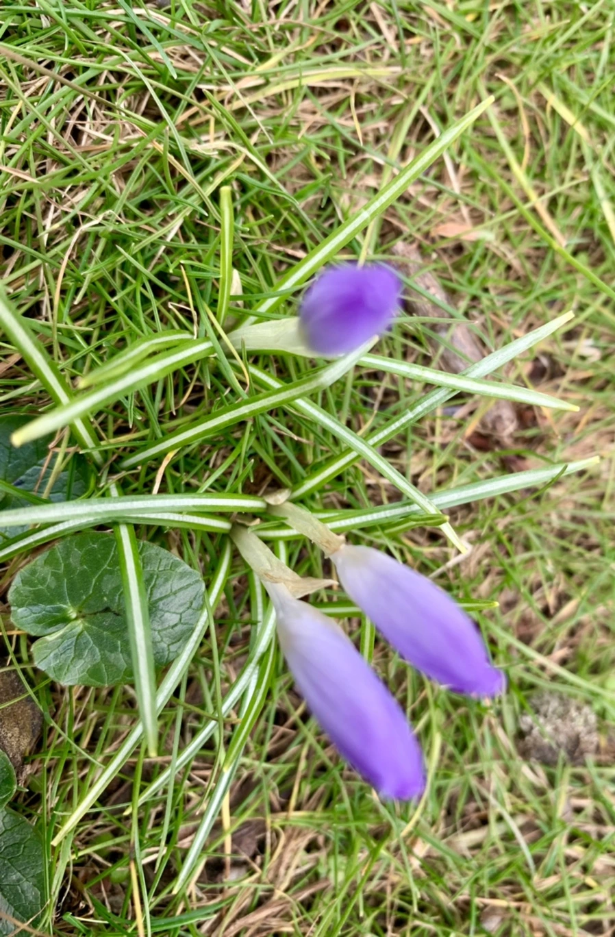 IMG_7076.jpg?type=w966