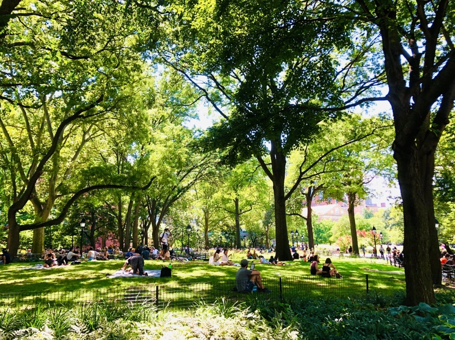 IMG_5441.jpg?type=w966