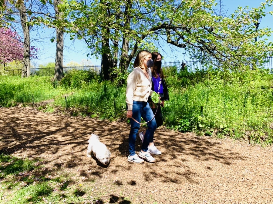 IMG_5887.jpg?type=w966