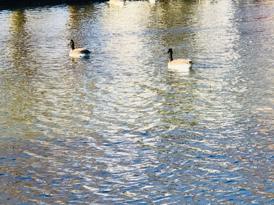 I_3cdXrm-joolyem9L7XQEoqlg0