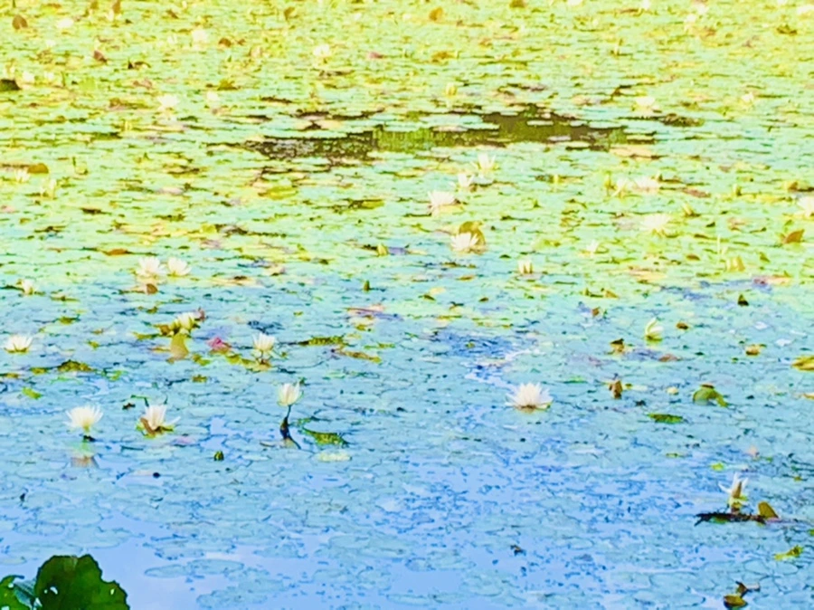 IMG_9314.jpg?type=w966