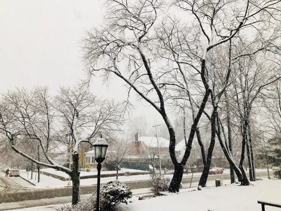 IMG_3307.jpg?type=w966