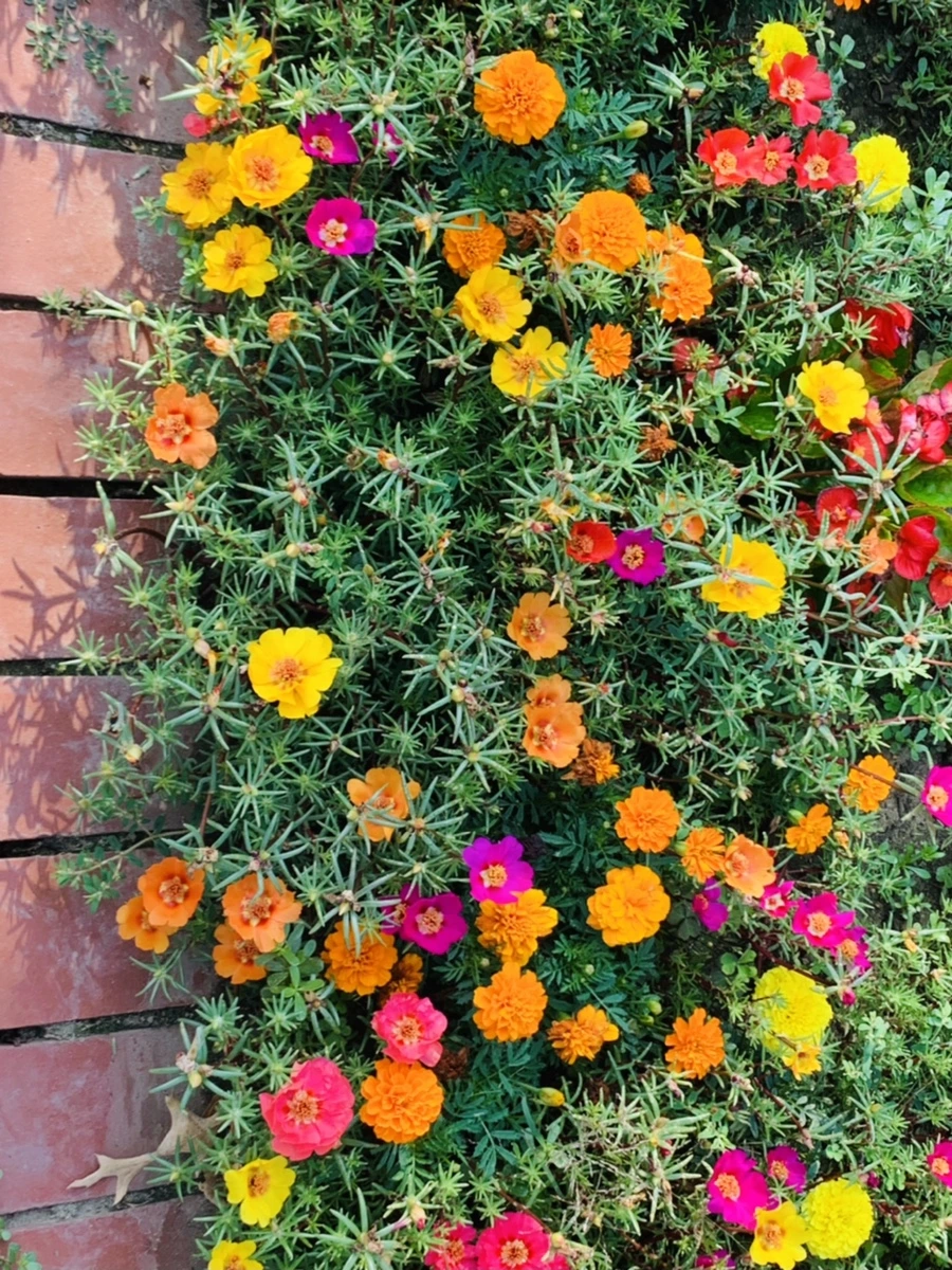 IMG_6654.jpg?type=w966