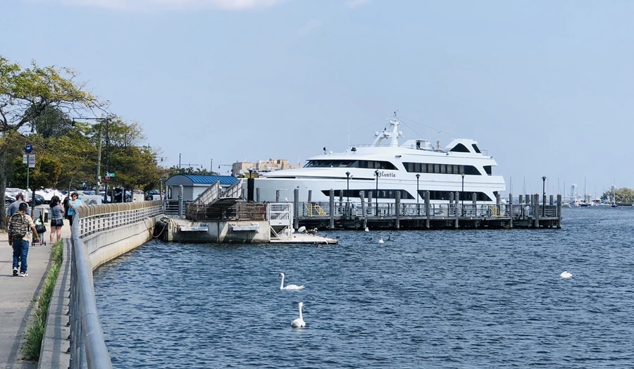 IMG_8473.jpg?type=w966