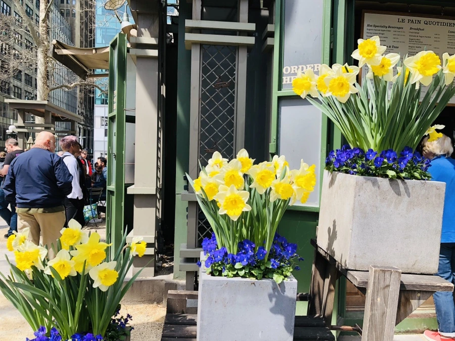 IMG_2530.jpg?type=w966