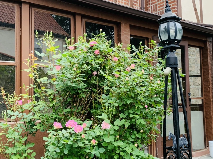 IMG_4758.jpg?type=w966