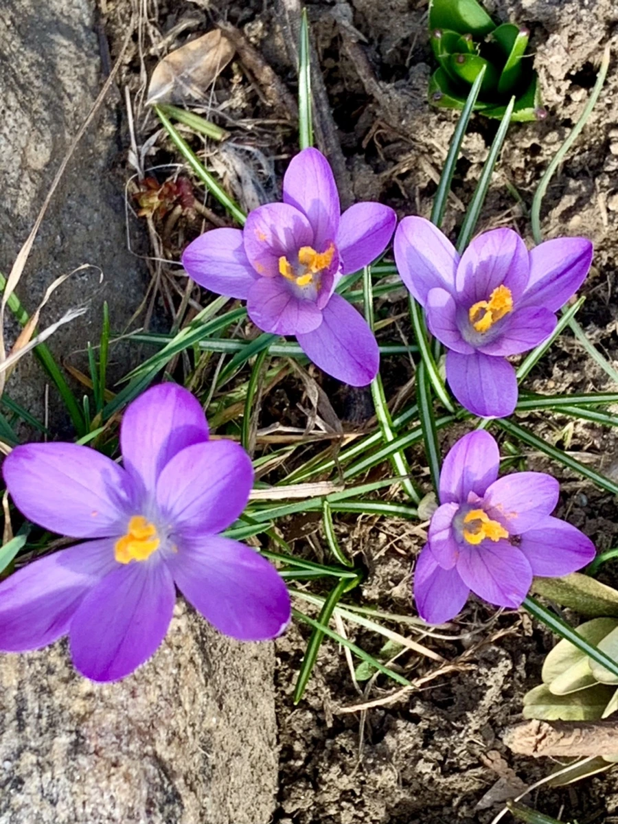 IMG_0278.jpg?type=w966