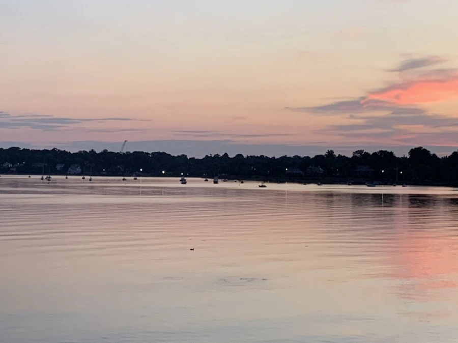 IMG_1153.jpg?type=w966