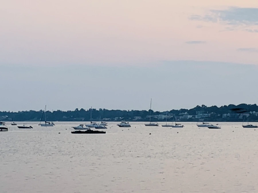 IMG_2379.jpg?type=w966