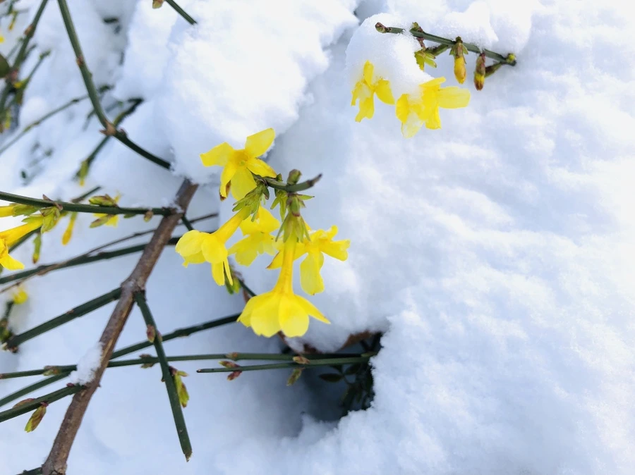 IMG_7028.jpg?type=w966