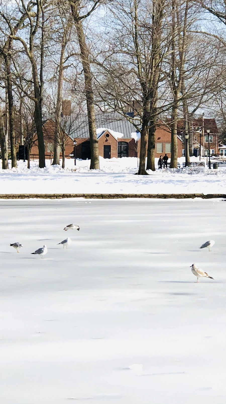 IMG_0193.jpg?type=w966