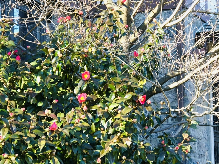 IMG_0320.jpg?type=w966