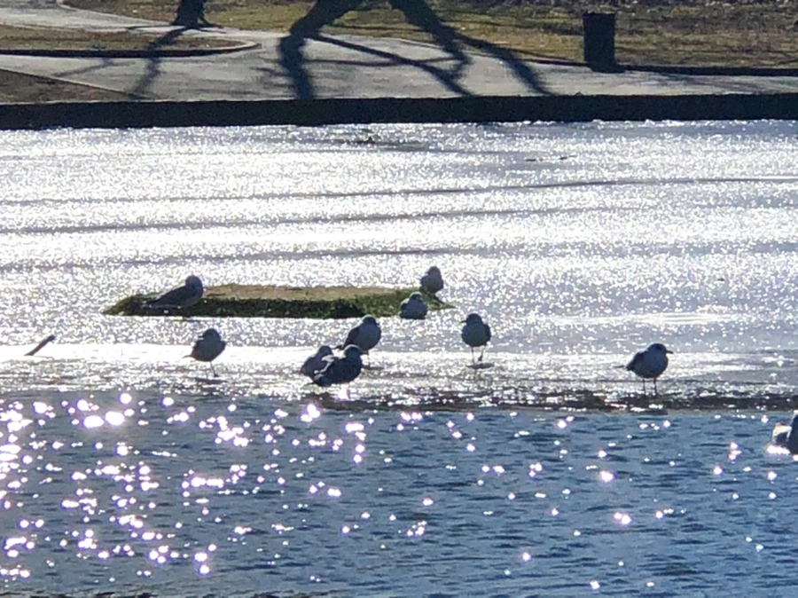 IMG_6705.jpg?type=w966