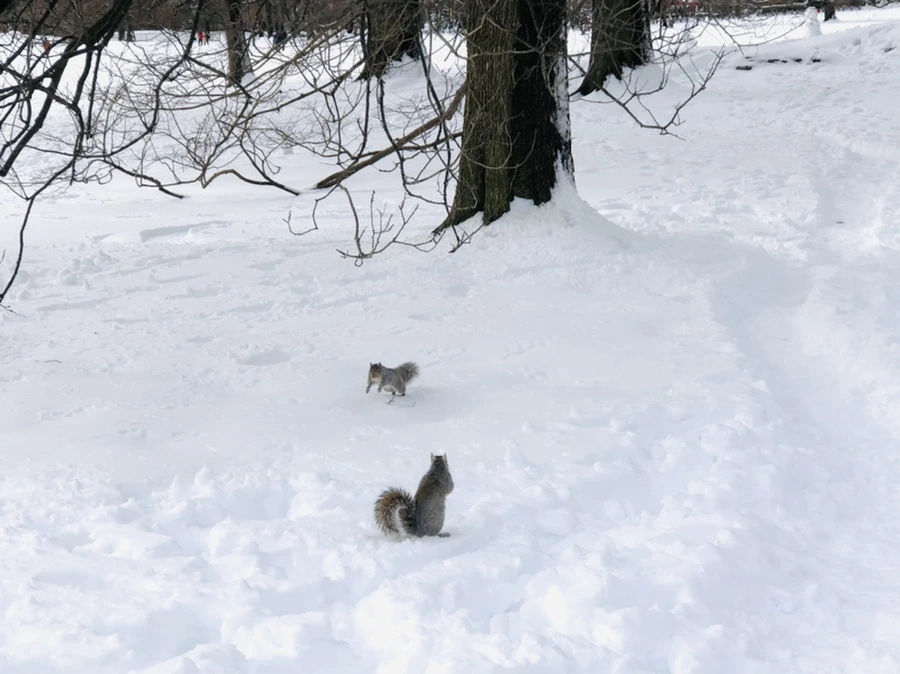 IMG_9308.jpg?type=w966