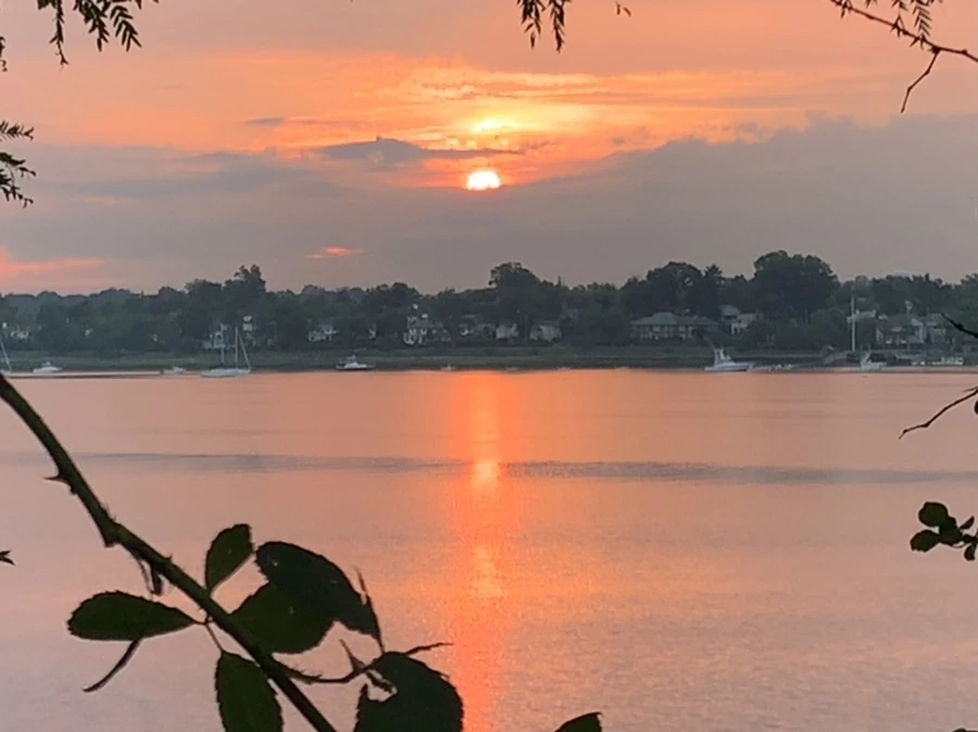 IMG_0217.jpg?type=w966