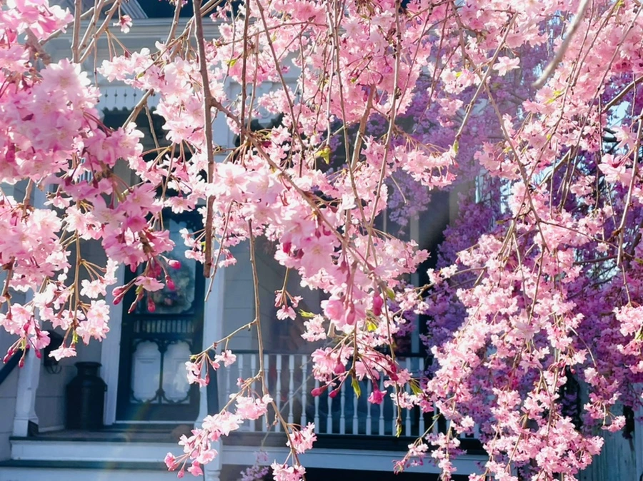 IMG_0515.jpg?type=w966