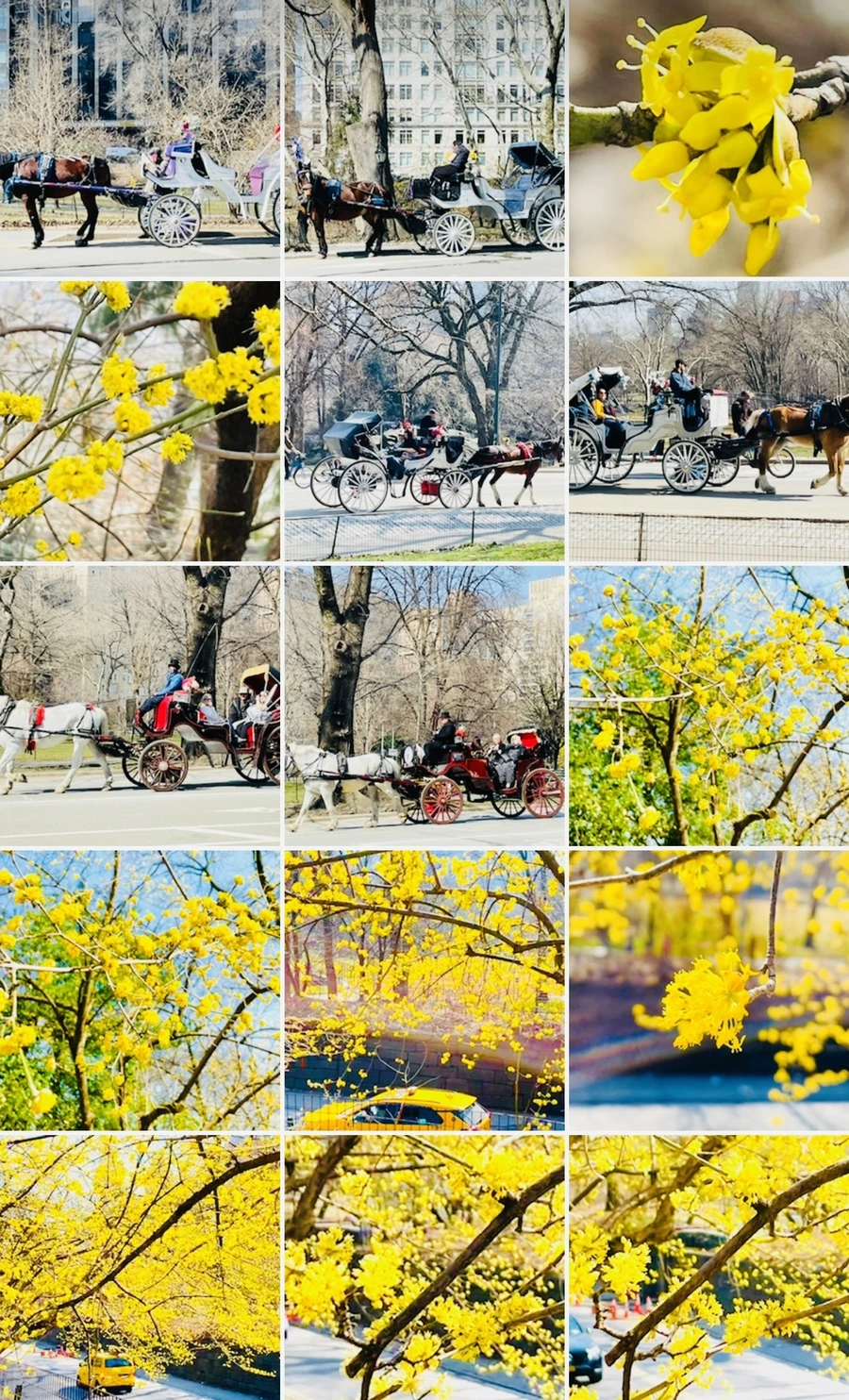 IMG_5668.jpg?type=w966