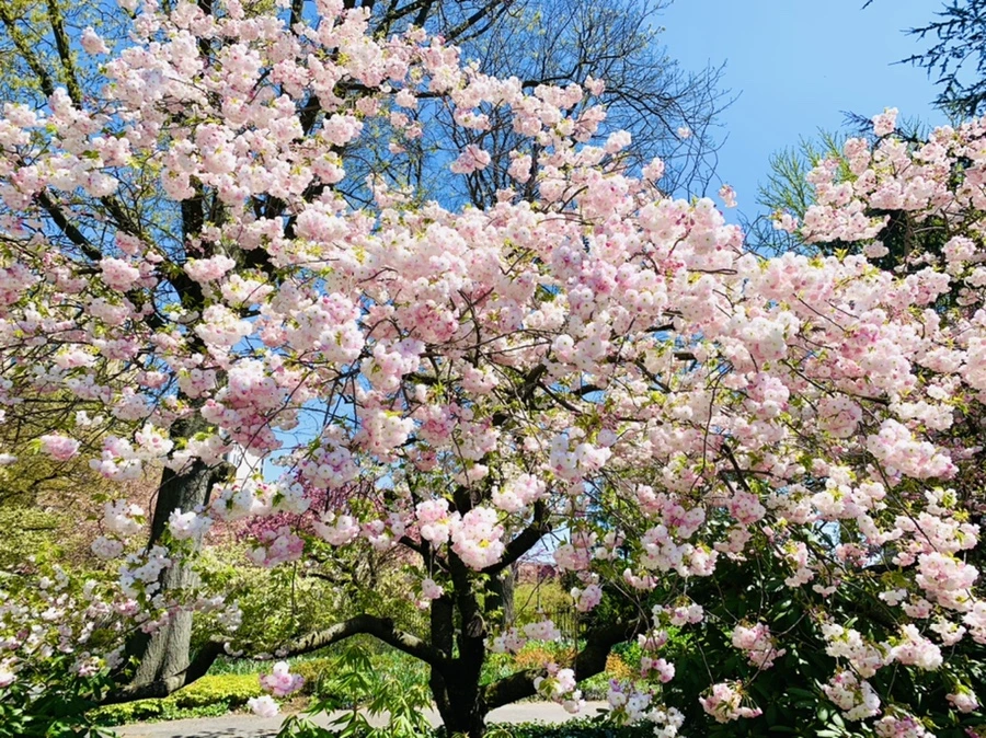 IMG_4824.jpg?type=w966