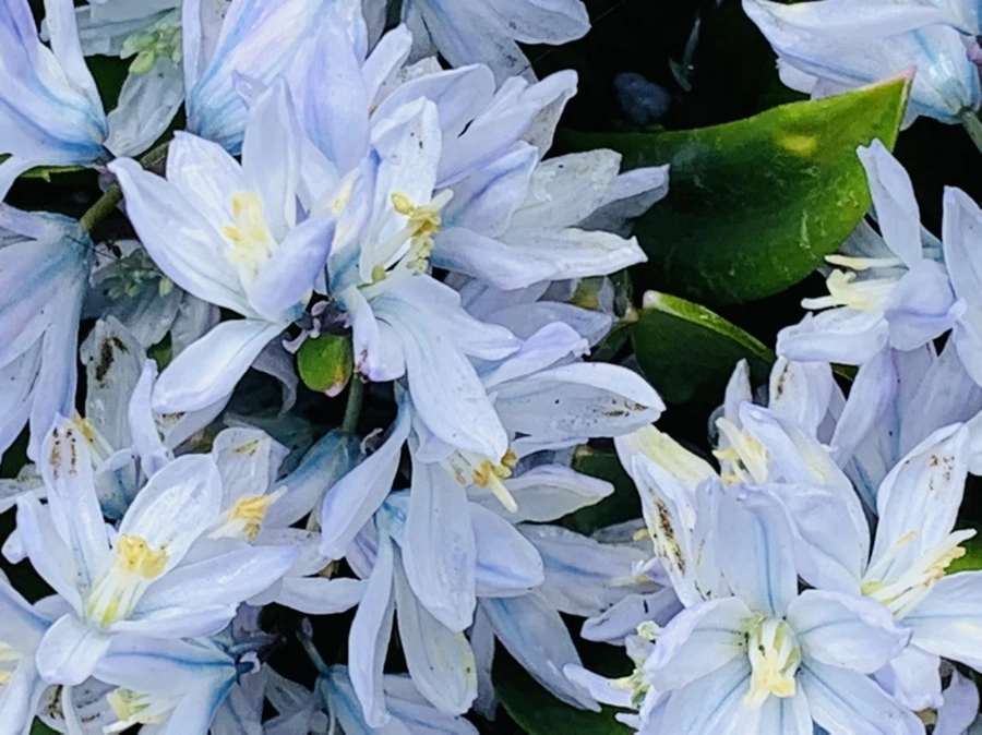 IMG_4138.jpg?type=w966