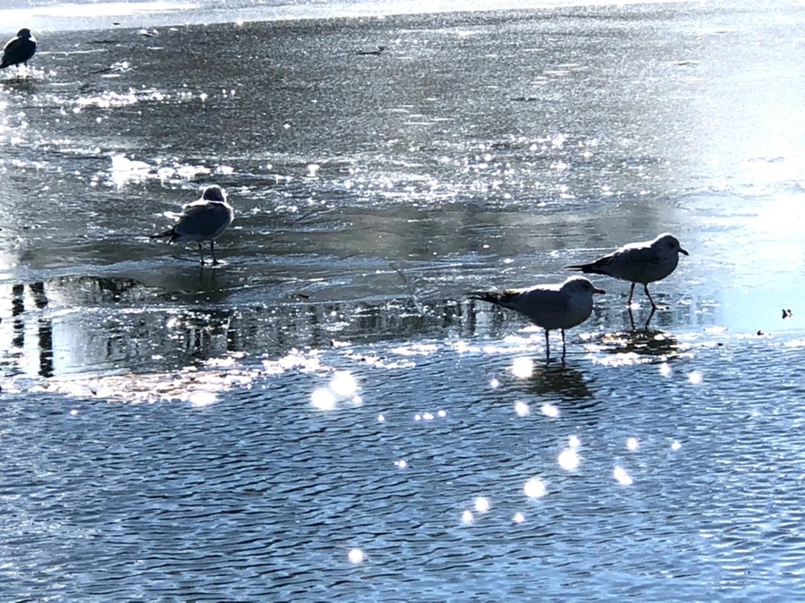 IMG_6873.jpg?type=w966