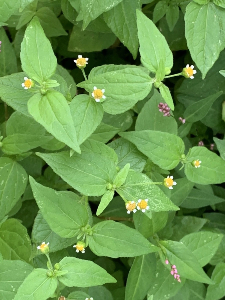 7tnfYEn5_TgE5HcTqcQXkqNsE2s