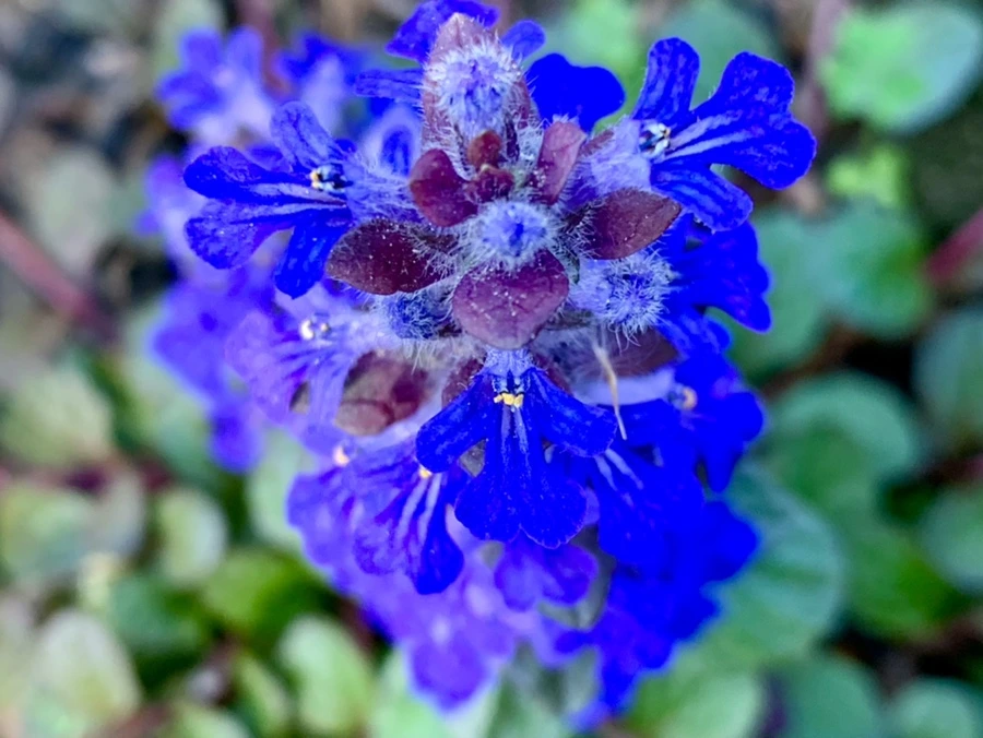 IMG_8440.jpg?type=w966