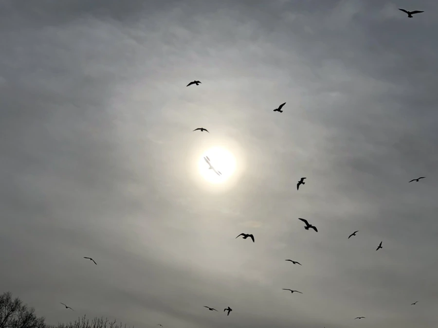 IMG_2002.jpg?type=w966