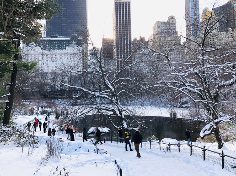 IMG_7192.jpg?type=w966